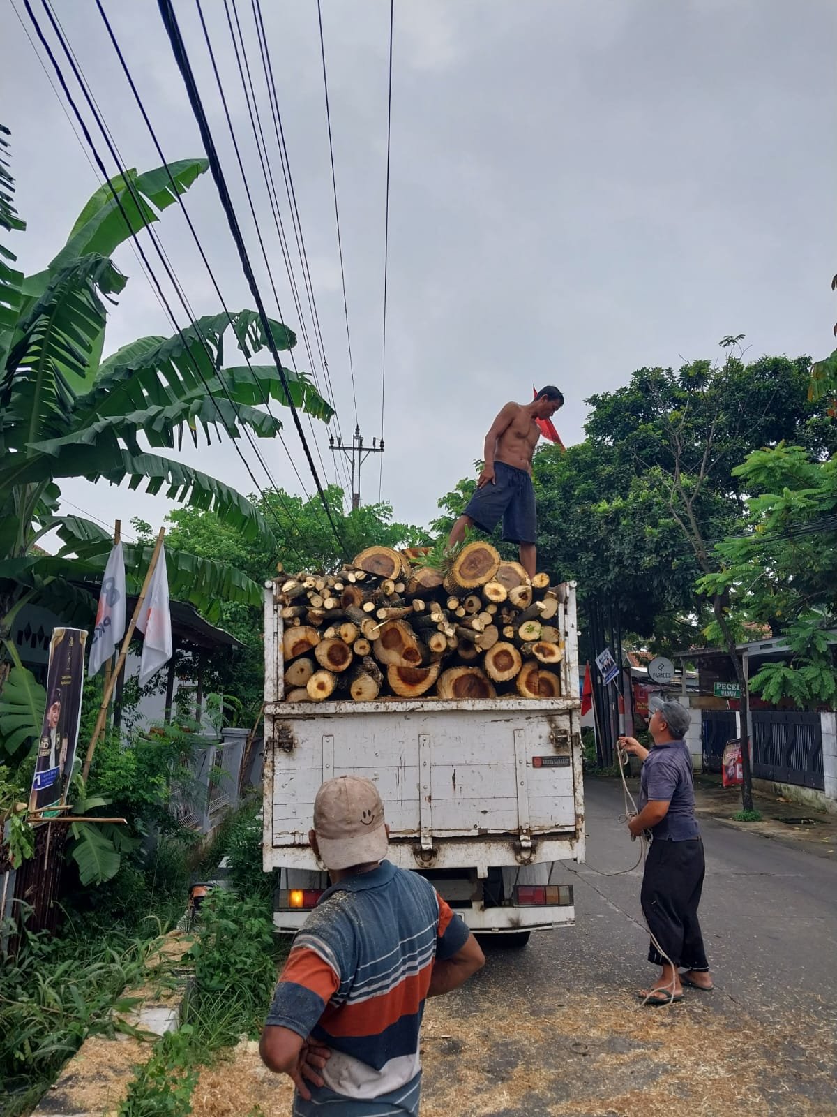 jasa tebang pohon semarang